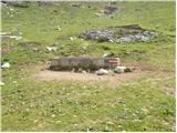 Globasnica / Globasnitz - Veška kopa/Wackendorfer Spitze